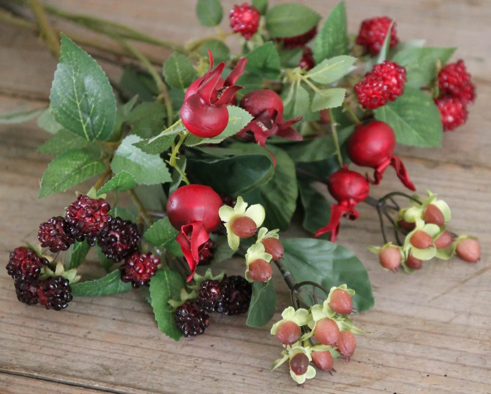 Autumn Hypericum Berries