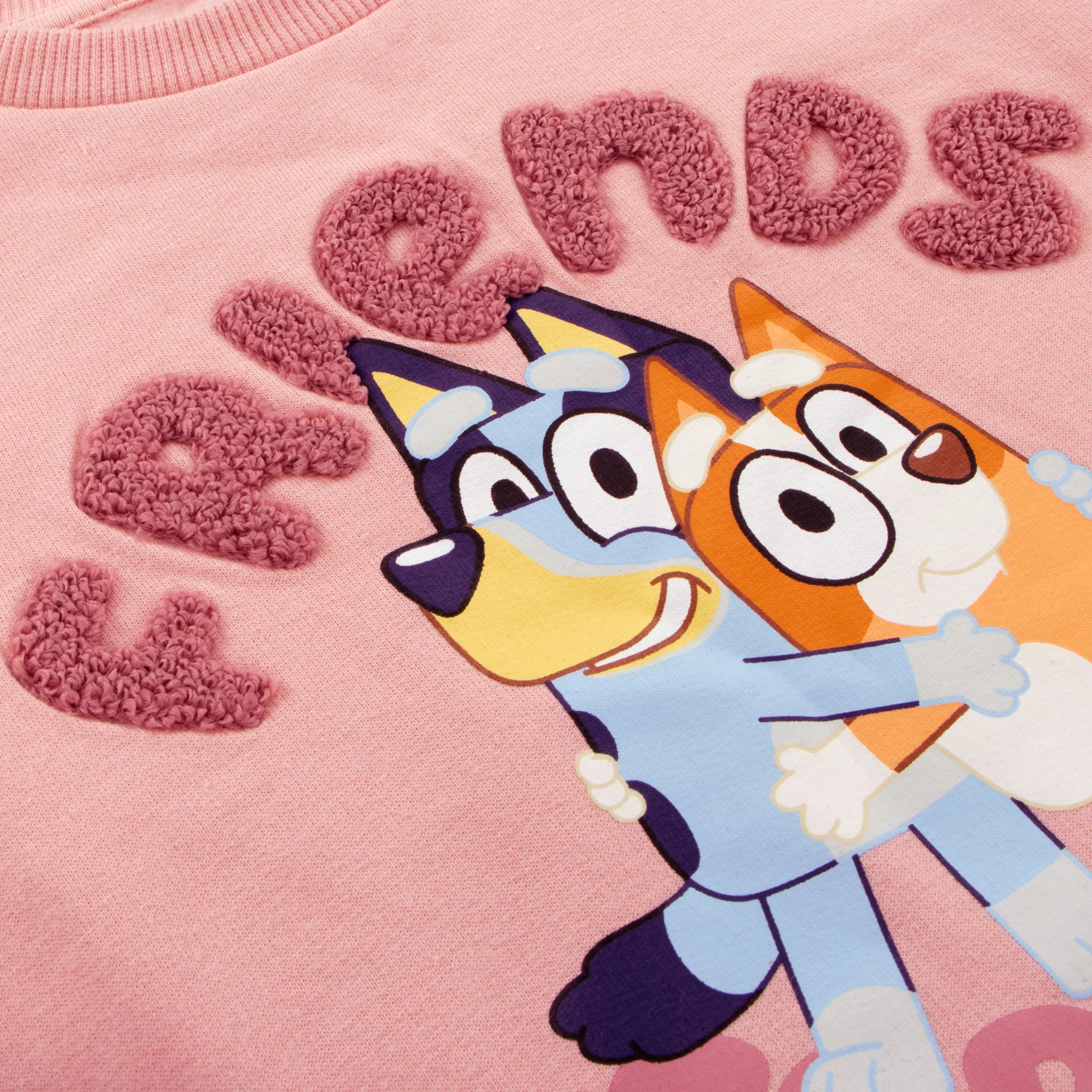 Bluey Sweatshirt