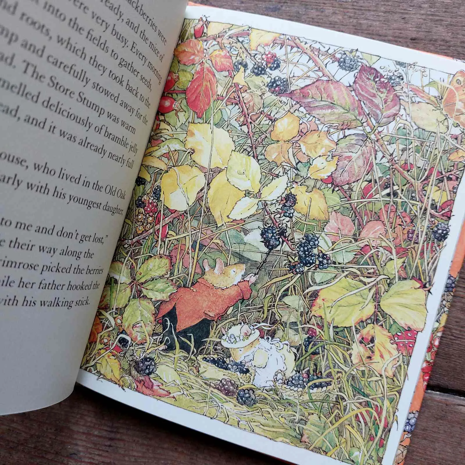 Brambly Hedge - Autumn Story