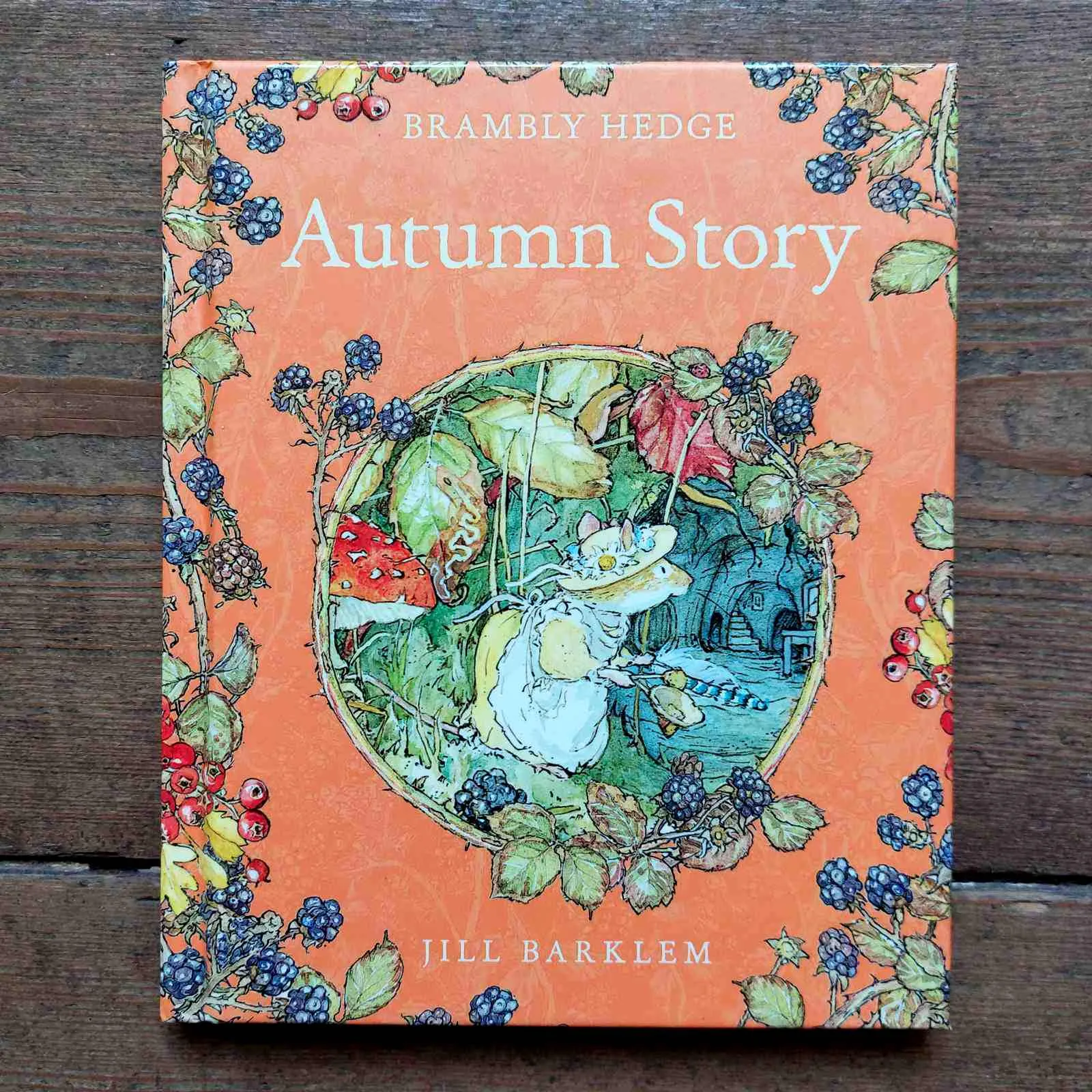 Brambly Hedge - Autumn Story