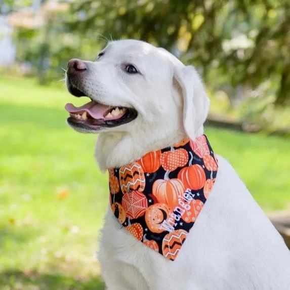 Fall Pumpkins Personalized Bandanas