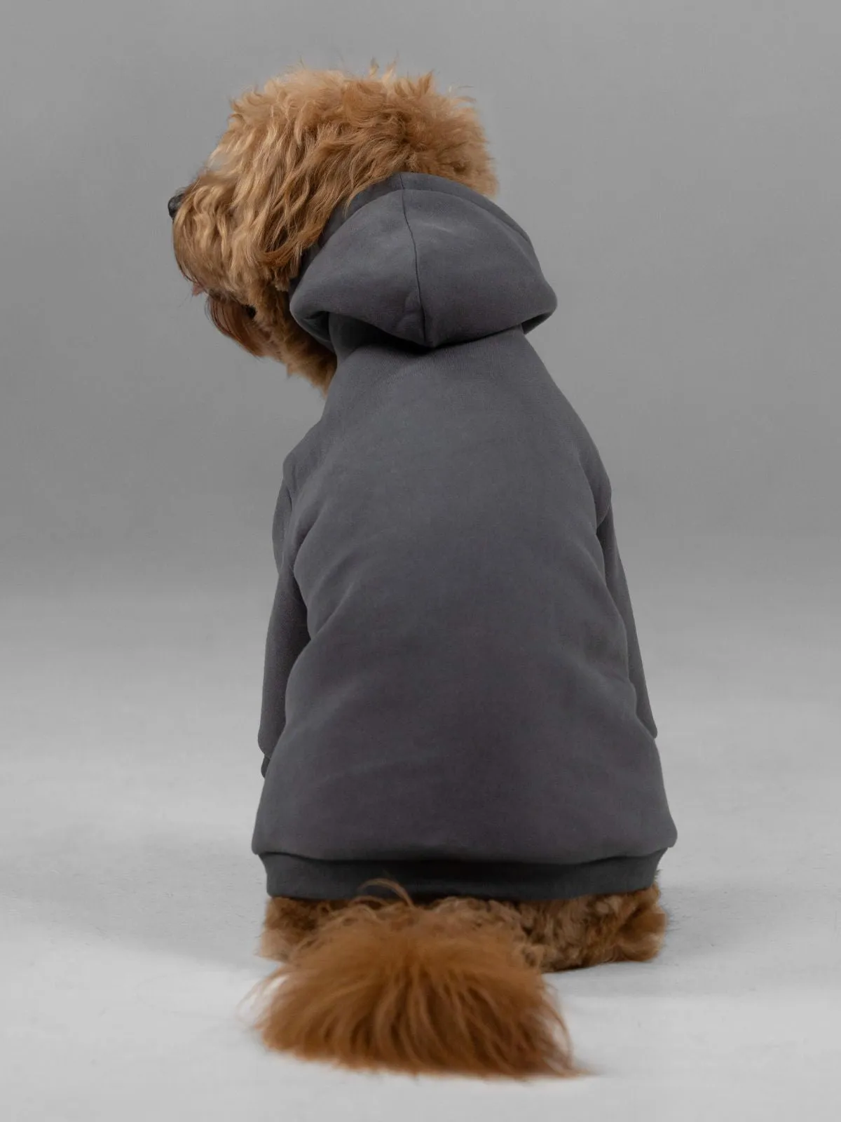 Signature Paw Hoodie