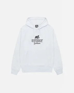 SPORTSWEAR HOODIE