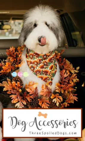 Turkeys & Pumpkins Fall Harvest Pet Bandanas